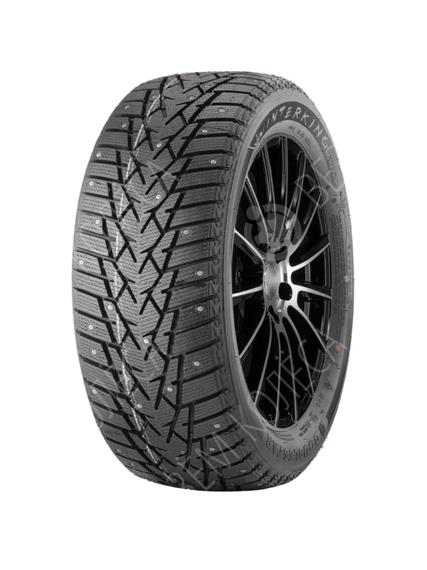 Doublestar DW01