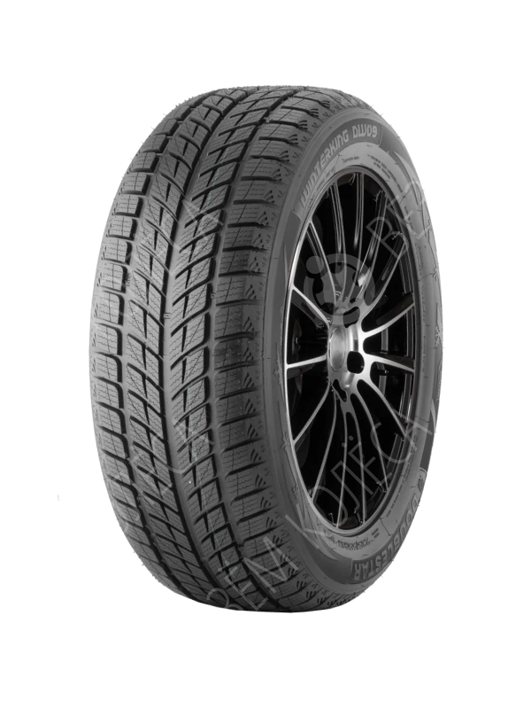 Зимние шины Doublestar DW09 245/45 R18 96T