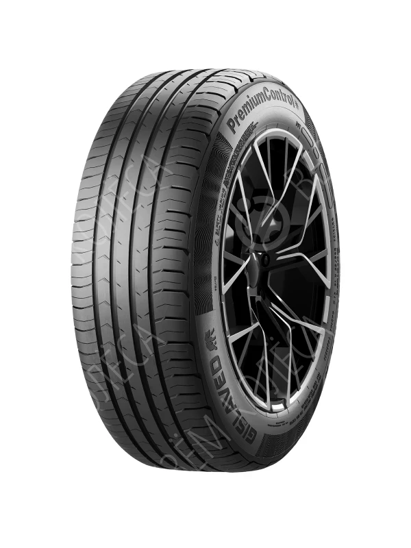 Летние шины Gislaved PremiumControl 205/55 R16 91H