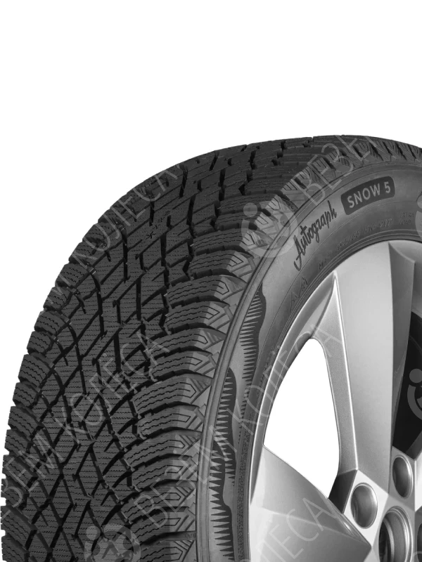Шина зимняя IKON TYRES Autograph Snow 5 225/55 R17 101R XL н/ш