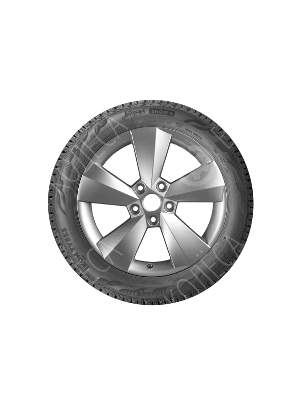 Шина зимняя IKON TYRES Autograph Snow 5 225/55 R17 101R XL н/ш