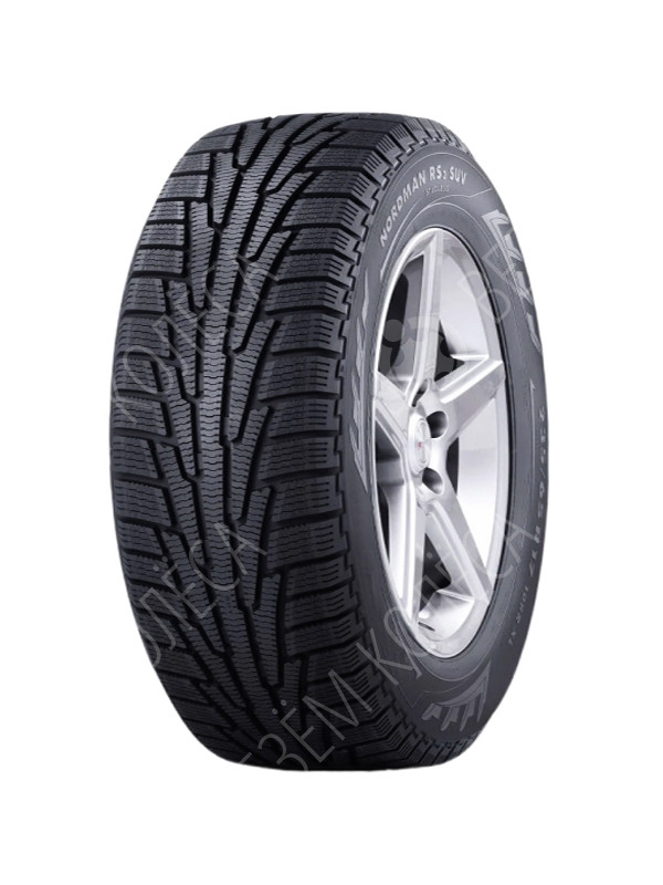 Зимние шины Ikon Tyres Nordman RS2 205/55 R16
