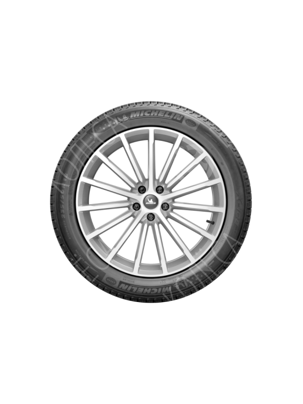 Шина зимняя MICHELIN X-Ice 3 ZP 225/55 R17 97H Run Flat н/ш