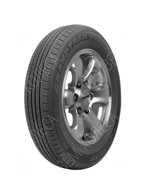 Летние шины Dunlop GRANDTREK PT30 225/65 R17 102H