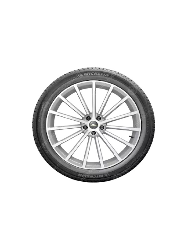Шина летняя MICHELIN Latitude Sport 3 255/50 R19 107W Run Flat XL