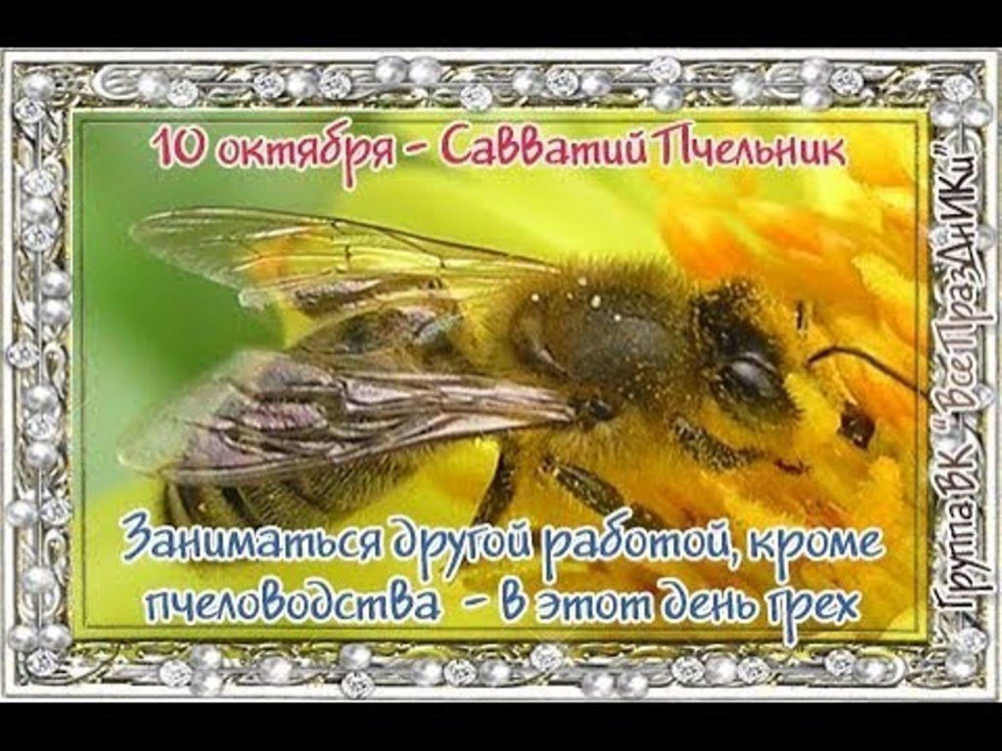 10 октября м. Савватий Пчельник праздник. Савватий Пчельник 10 октября. Савватий Пчельник 10 октября открытки. 10 Октября день Савватия (Савватий Пчельник).