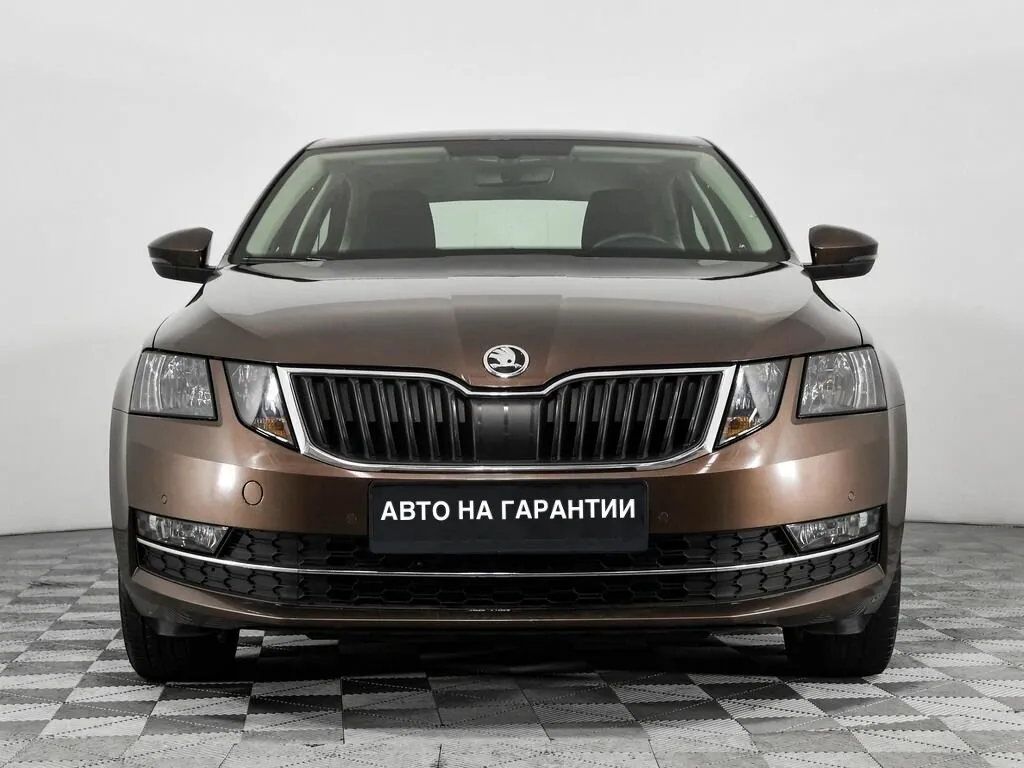 Skoda Octavia III (A7) Рестайлинг · Ambition — фото 2
