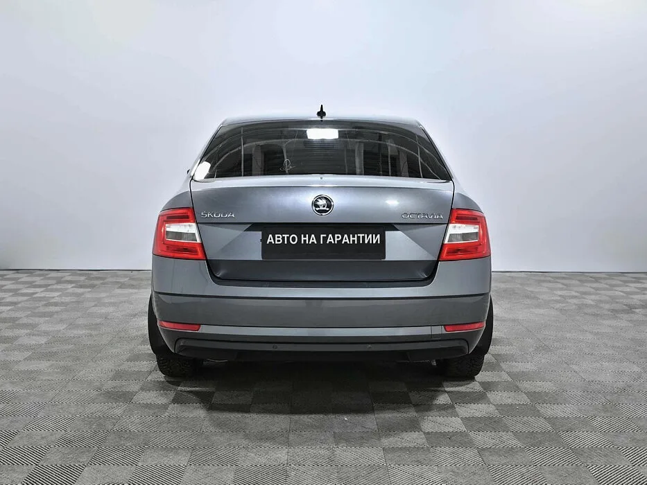 Skoda Octavia III (A7) Рестайлинг · Ambition — фото 4