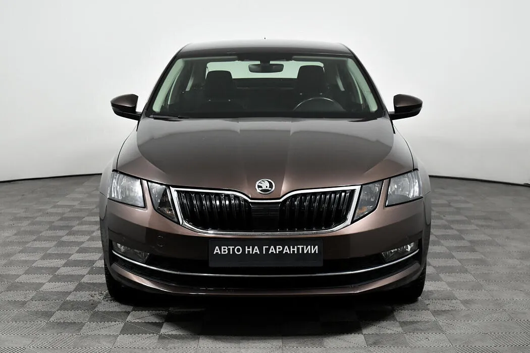 Skoda Octavia III (A7) Рестайлинг · Ambition — фото 2