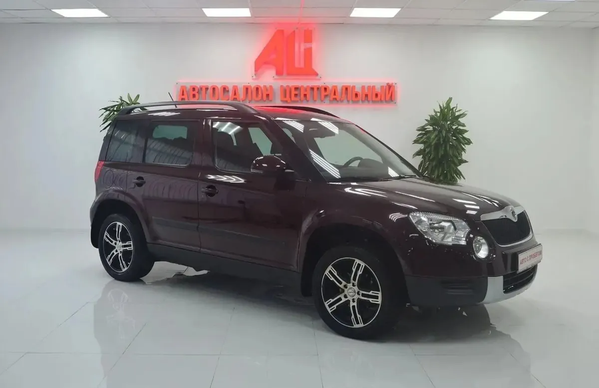 Skoda Yeti I · Active — фото 3
