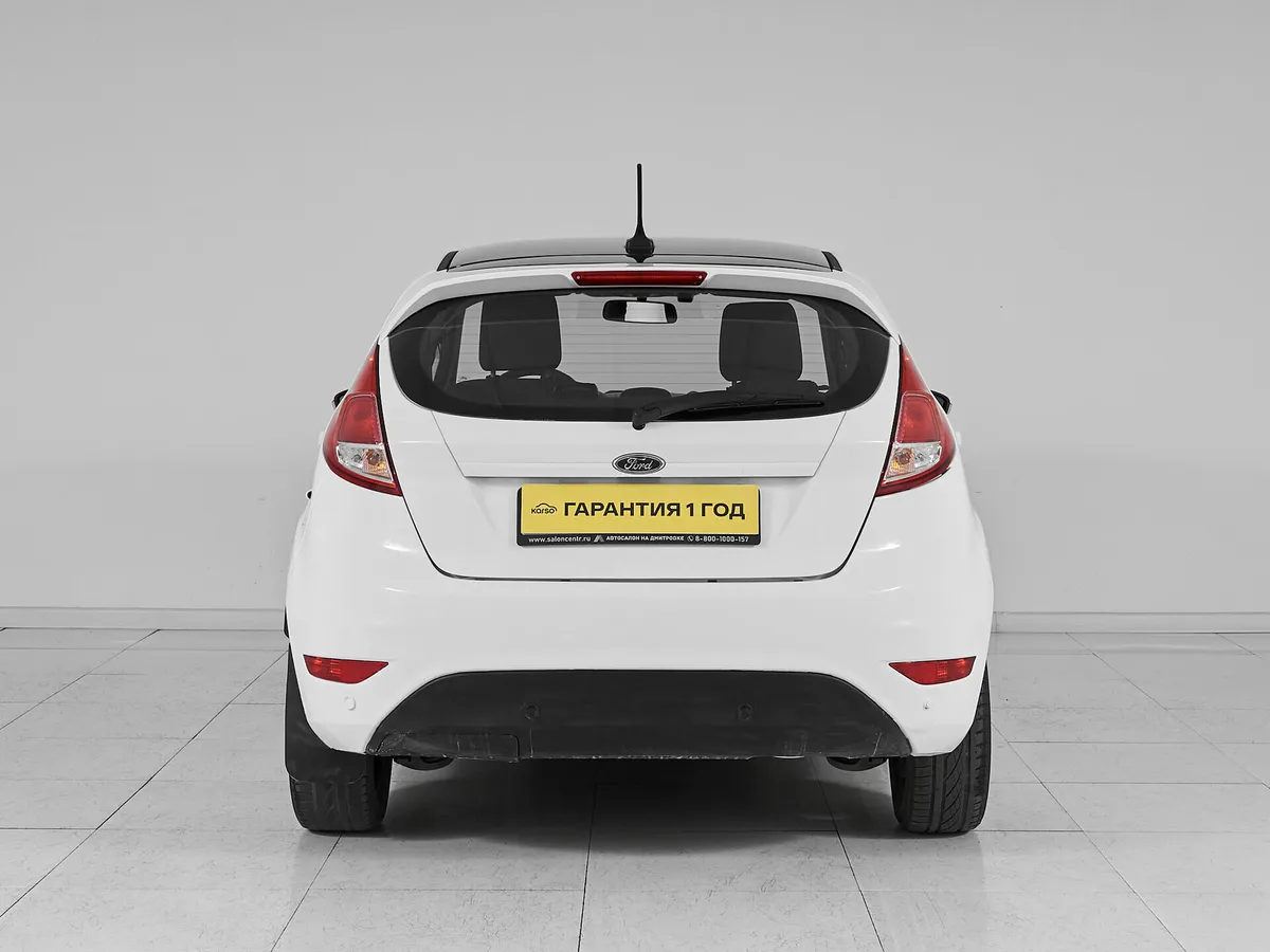 Ford Fiesta Mk6 Рестайлинг · White and Black — фото 5
