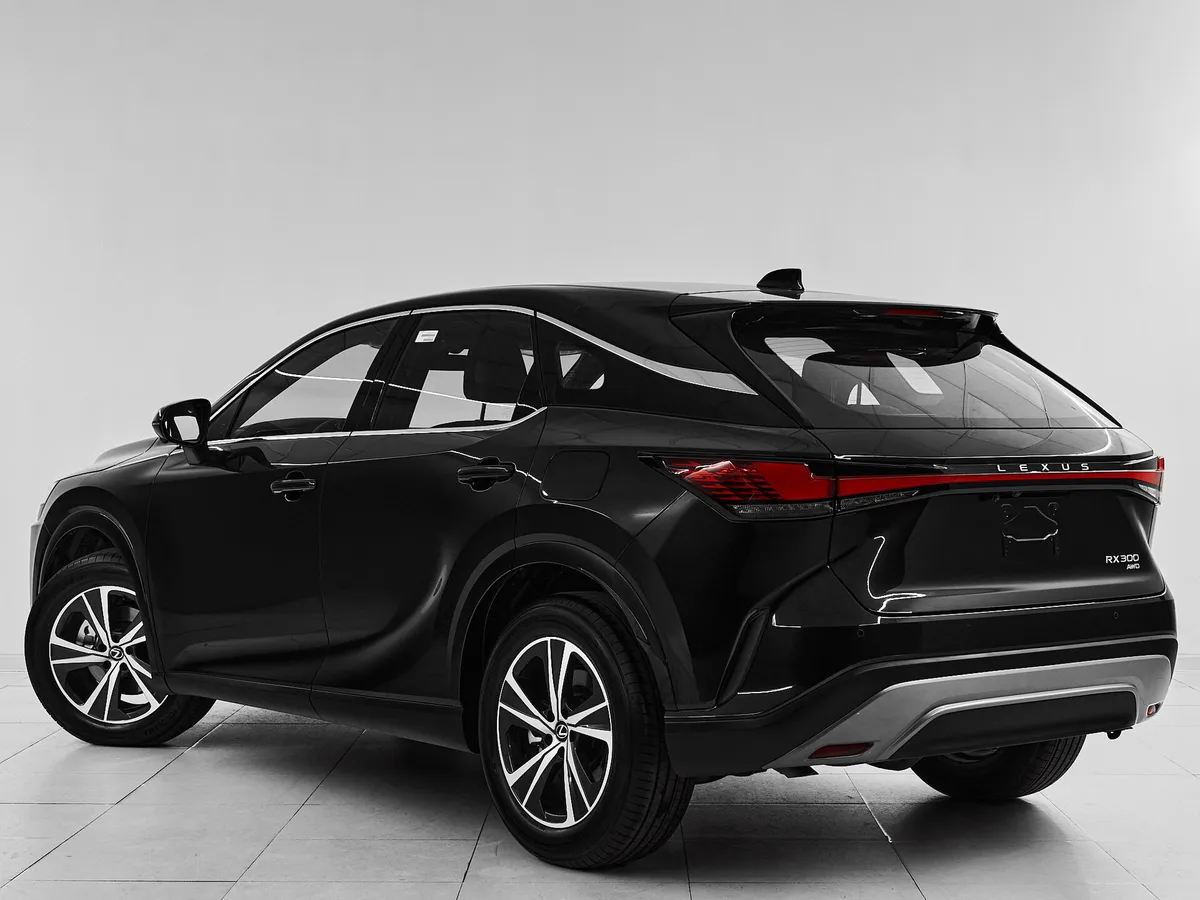 Lexus RX V · Enjoy — фото 4