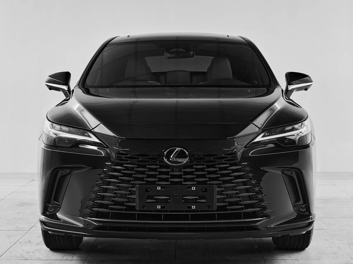 Lexus RX V · Enjoy — фото 2