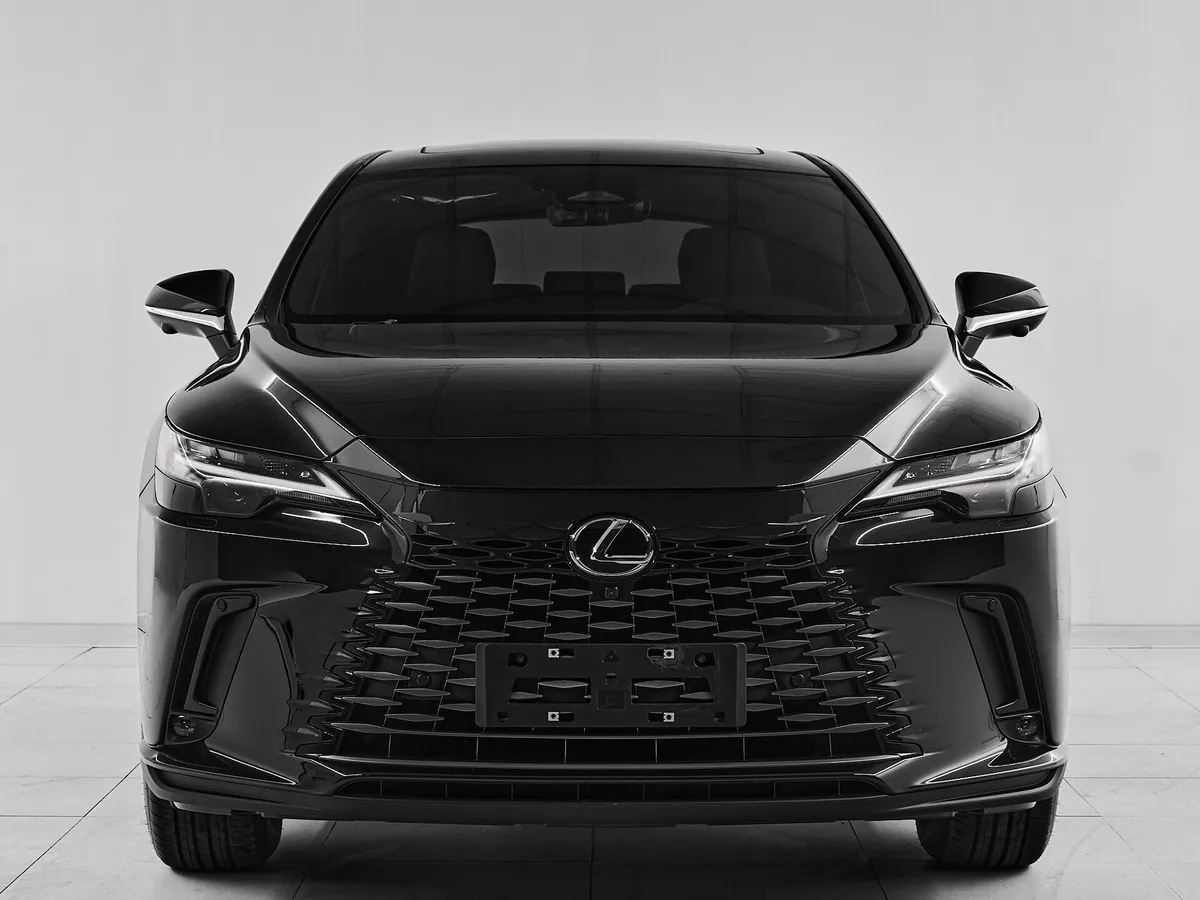 Lexus RX V · Enjoy — фото 2