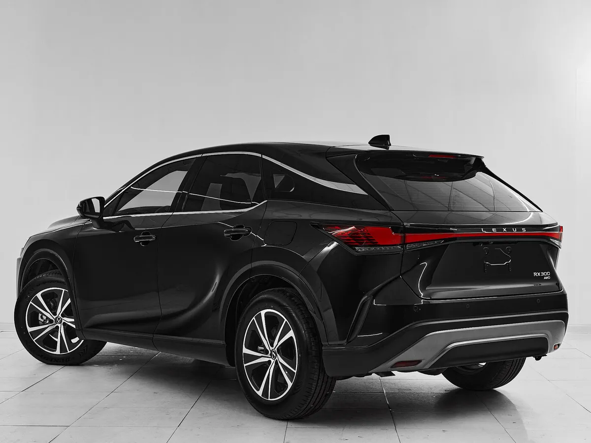 Lexus RX V · Enjoy — фото 4
