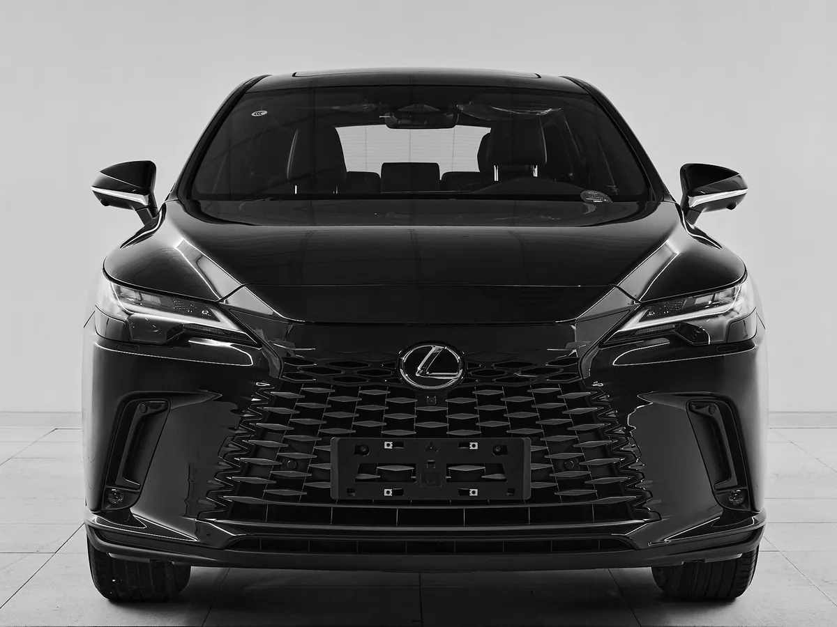 Lexus RX V · Enjoy — фото 2