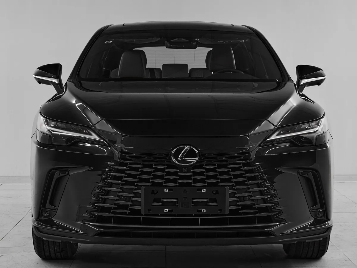 Lexus RX V · Enjoy — фото 2