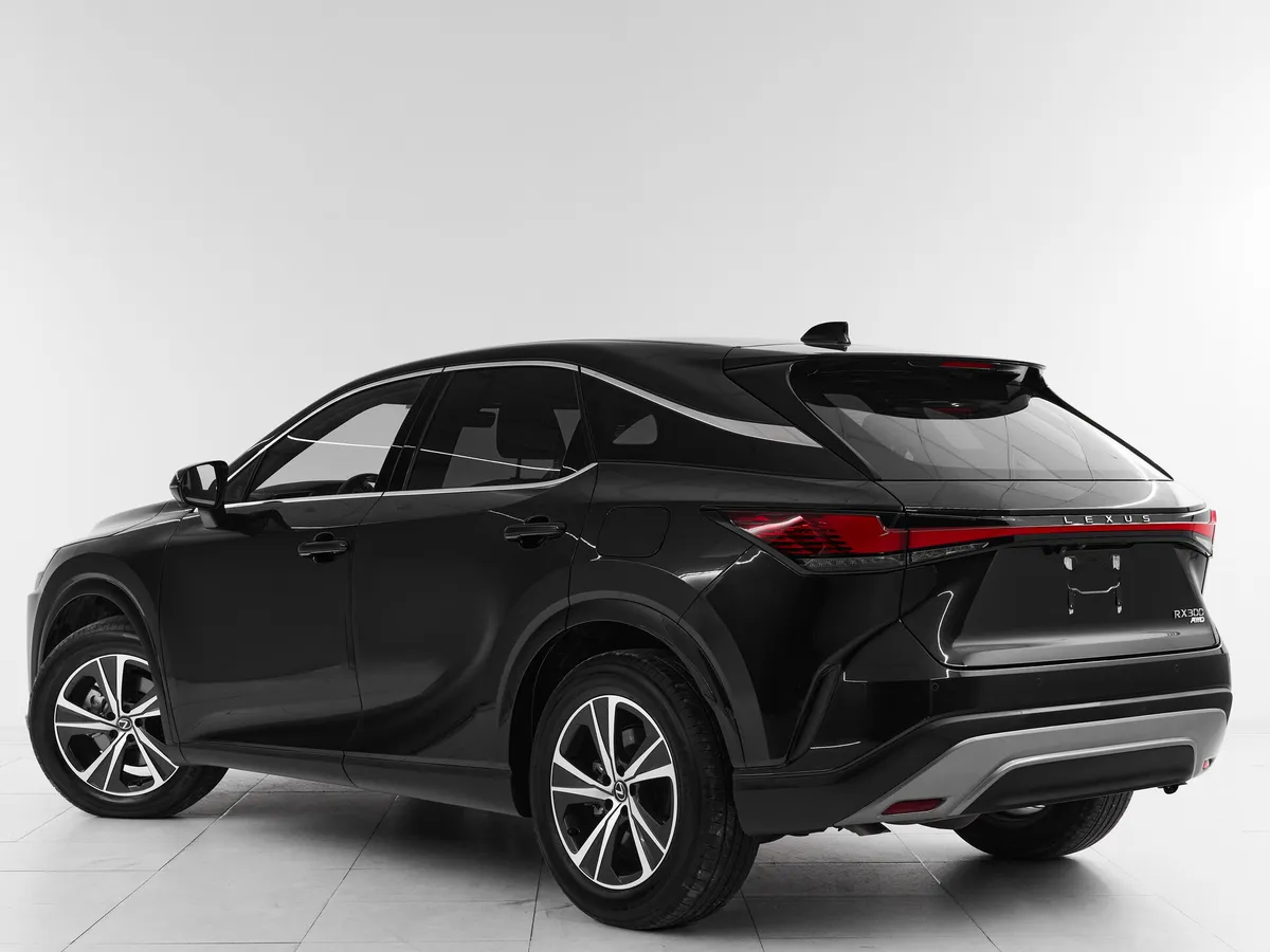 Lexus RX V · Enjoy — фото 4