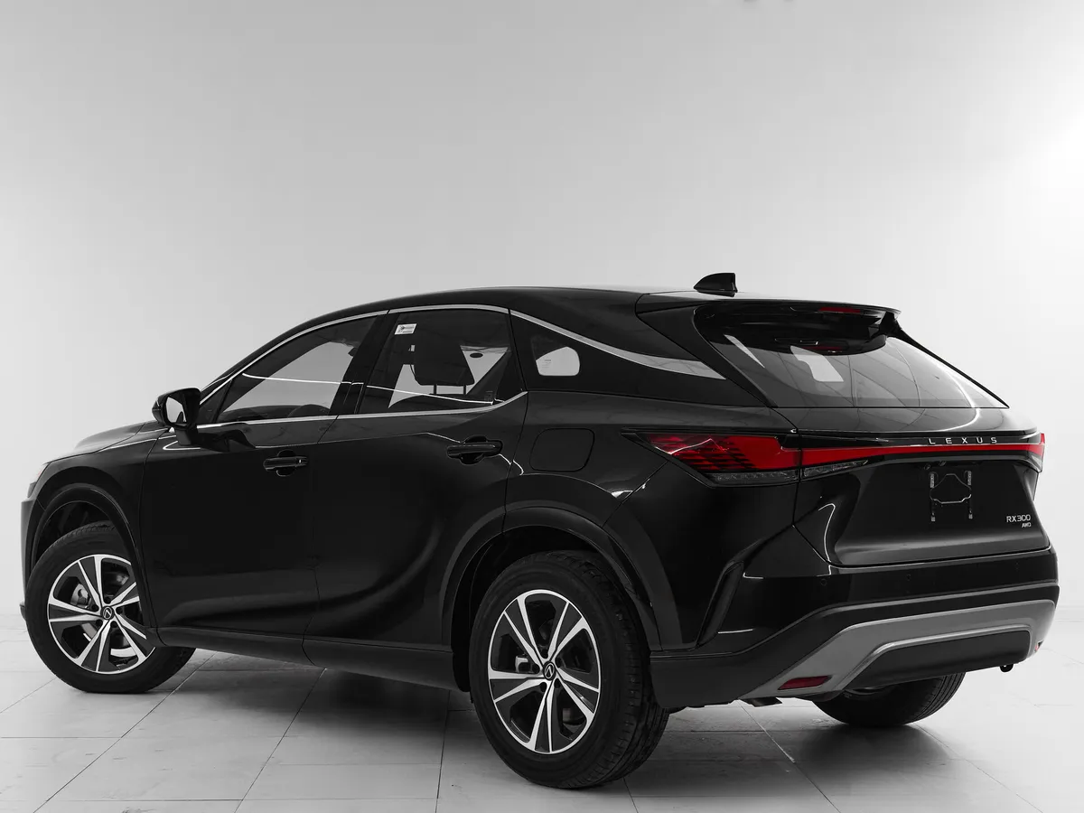 Lexus RX V · Enjoy — фото 4