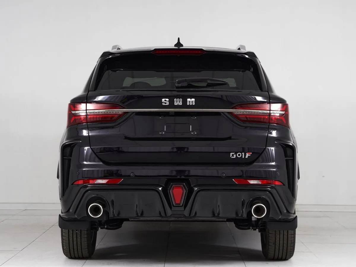 SWM G01F Smart — фото 5