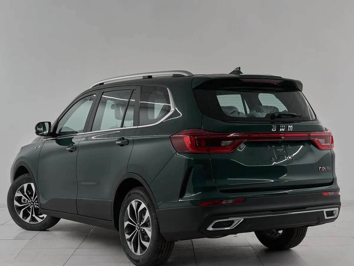 SWM G05 Pro Family 1 — фото 4