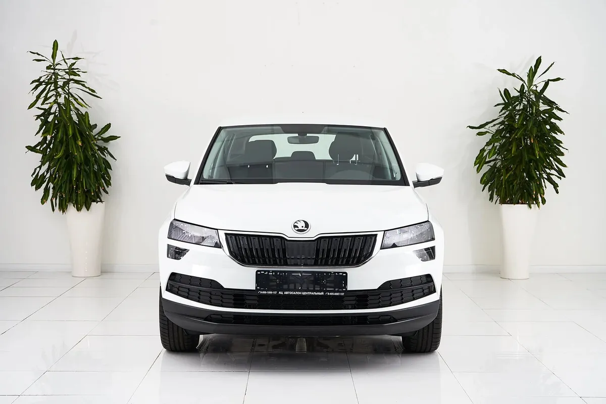 Skoda Karoq I — фото 2