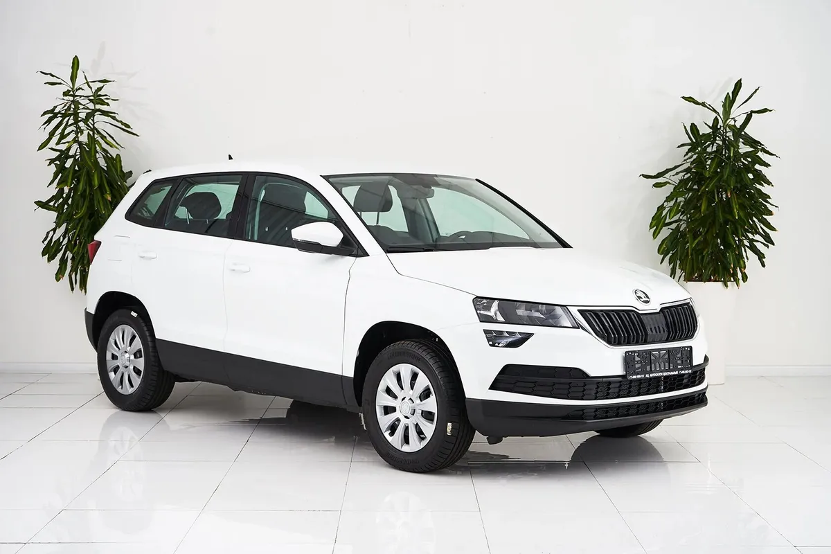 Skoda Karoq I — фото 3