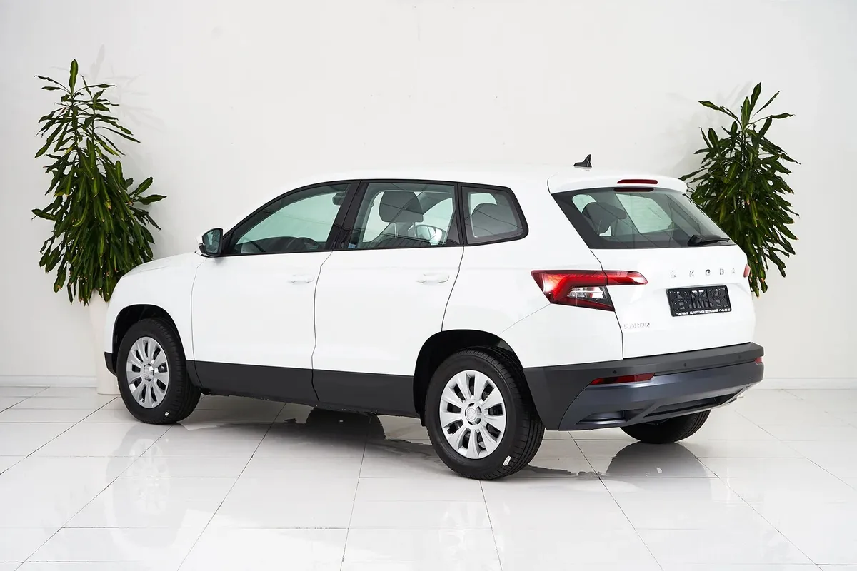 Skoda Karoq I — фото 4