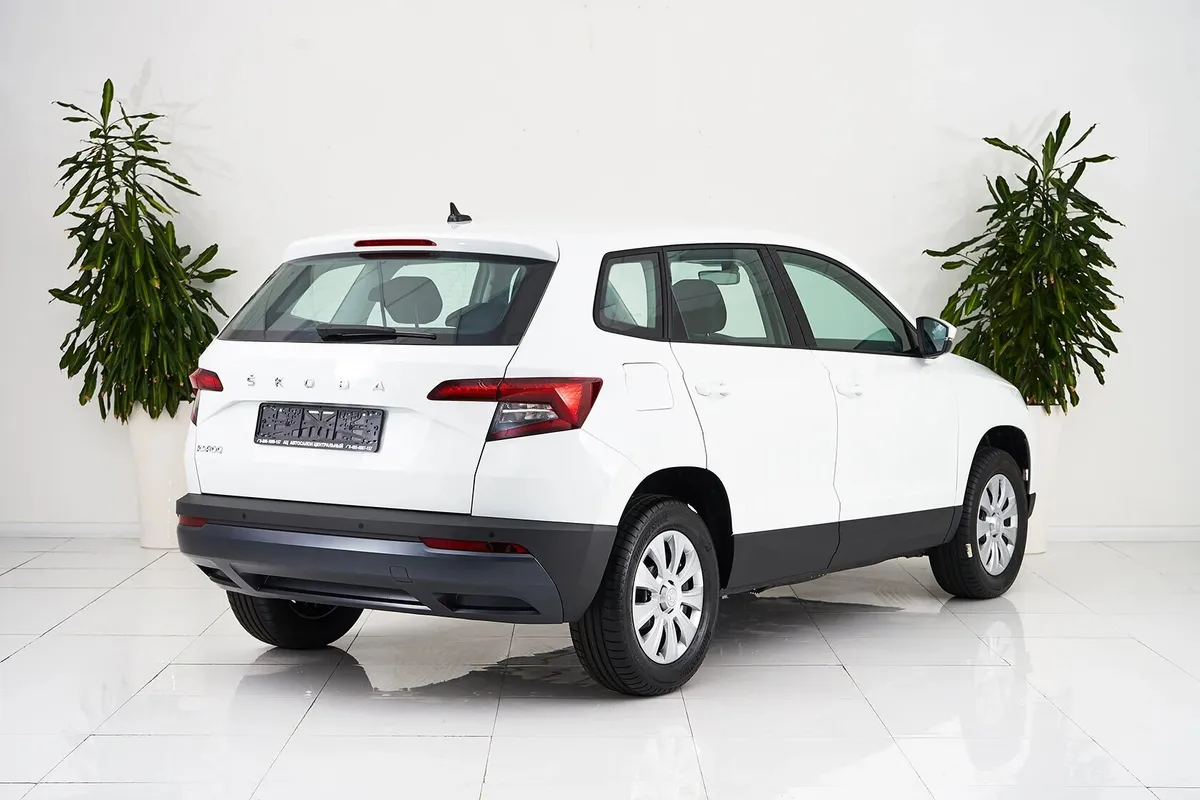 Skoda Karoq I — фото 5