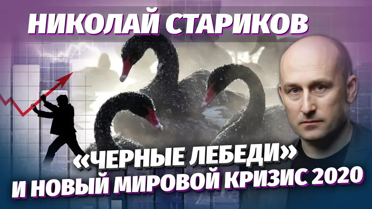 Николай Стариков: «черные лебеди» и новый мировой кризис 2020