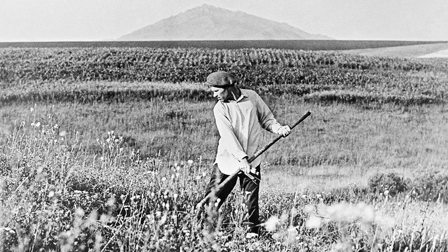 Алтайский край. Писатель, кинорежиссер, драматург, актер Василий Шукшин во время покоса травы в селе Сростки Бийского района, 1969 год