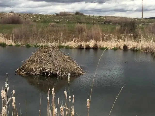 Разрушение плотин и хаток