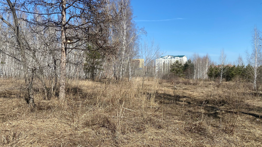 Парк 300-летия Омска - 17