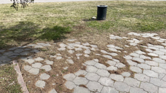 Сквер Бухгольца - 12