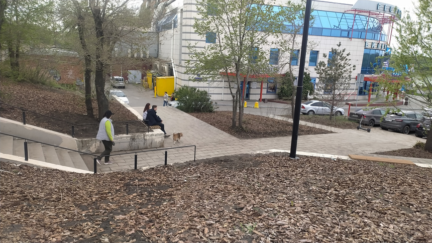 лестница к океану