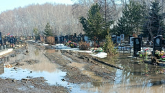 Алея на кладбище