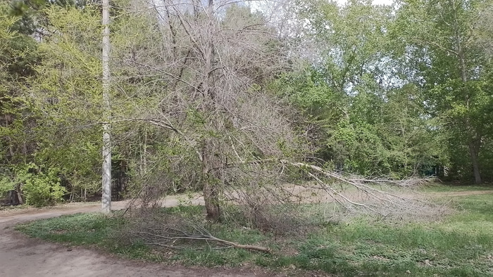 Советский парк