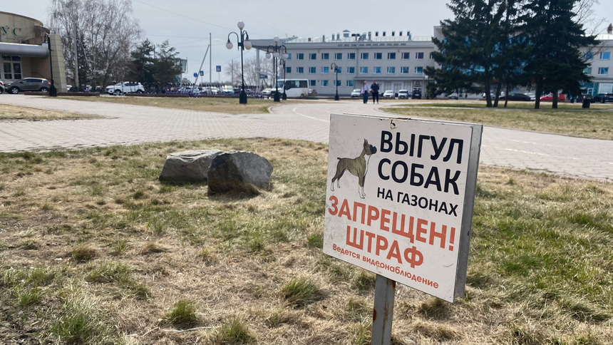 Сквер выгул собак