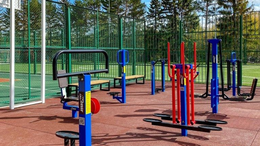 Буревестник