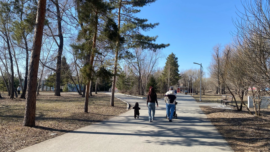 Зеленый остров  - 7