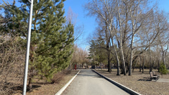 Зеленый остров  - 11