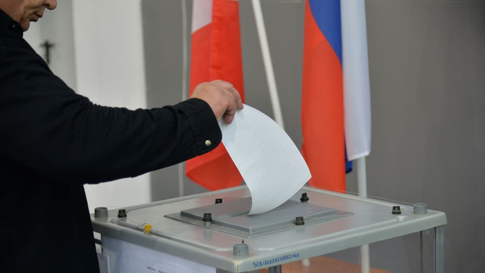 Избиратель на выборах