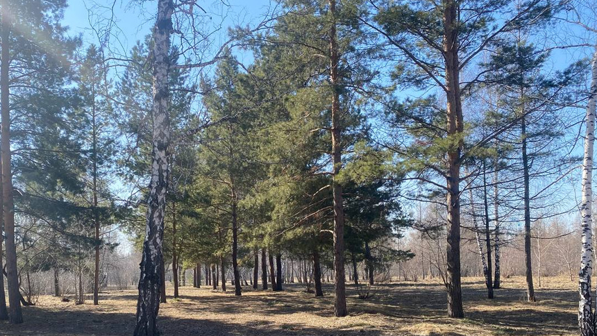 Парк 30-летия ВЛКСМ - 4