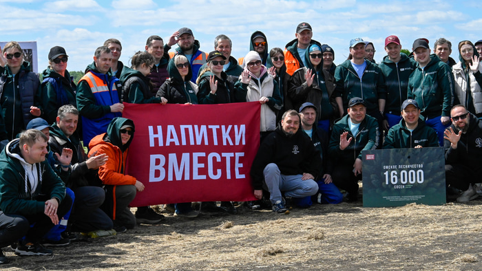 Напитки вместе лес