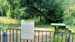 Аттракцион «Водный Роллер»
