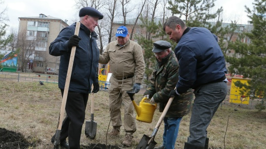 Шелест благоустройство