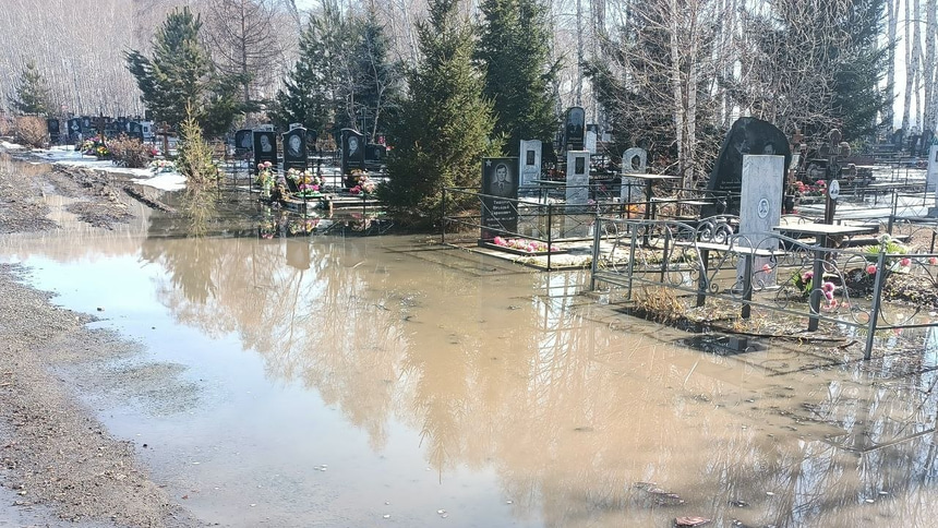 Алея на кладбище