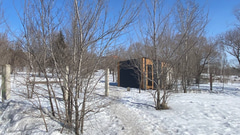 Советский парк - 3