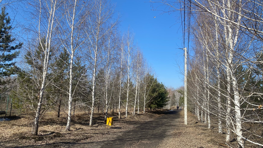 Парк 300-летия Омска - 13