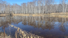 Паводок, затопление - 4